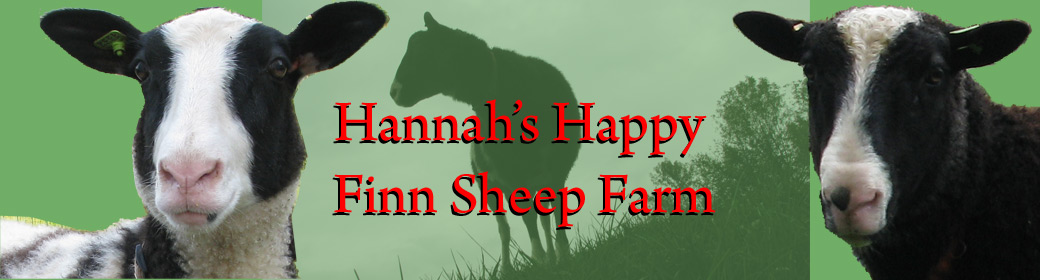 Hannah's Happy Finsheep Farm